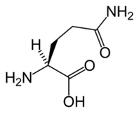 L-glutamine i roto i te Keto Diet